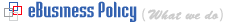 eBusiness Policy - What we do